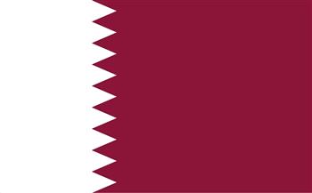 أمير قطر والرئيس الجزائري يؤكدان ضرورة تغليب لغة الحوار والدبلوماسية