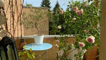 لمنع نمو الأعشاب الضارة في أصص الشرفة.. إليك تلك النصائح