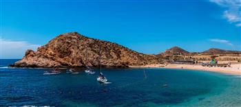 فيديو.. أسماك يوم القيامة تظهر على شاطئ مكسيكي