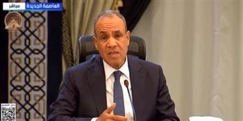 وزير الخارجية: مصر حذرت كثيرا بأن انفجار الأزمة في المنطقة سيؤدي لتداعيات شديدة السلبية