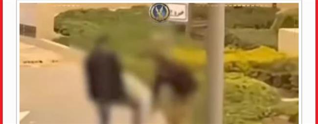 اليوم.. محاكمة متهم بالاعتداء على فرد أمن داخل كمبوند بالتجمع الخامس