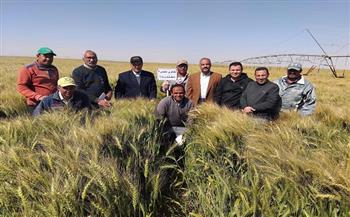 فريق بحثي يتفقد زراعات القمح بتوشكى وشرق العوينات لمتابعة المحصول