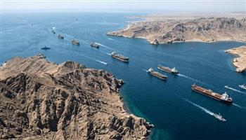 خبير اقتصادي: اضطرابات مضيق هرمز قد تدفع الدول المستوردة للطاقة نحو التنويع الطاقي| خاص