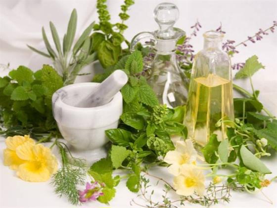 3 أعشاب تساعد على تحسين الهضم في رمضان