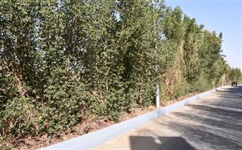 محافظ أسوان يتابع مشروع تطوير مداخل ومخارج معبد فيله