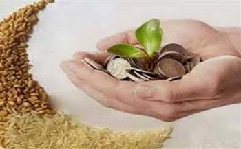 «الأزهر للفتوى» يوضح أهم المعلومات عن زكاة الفطر