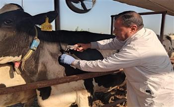 فحص 2770 رأس ماشية ضد البروسيلا والسل البقري بمحافظة الشرقية