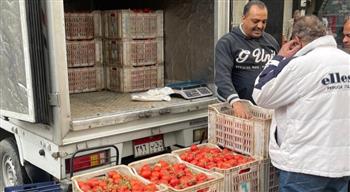 وزارة التموين تطلق سيارات متنقلة لطرح الطماطم بأسعار مخفضة