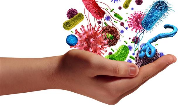 أسباب التسمم الغذائي