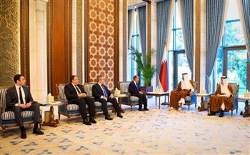 بتوجيهات من رئيس الجمهورية.. وزير الخارجية ينقل رسالة دعم كامل وتضامن مصر إلى أمير قطر