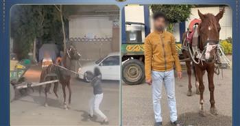 الداخلية تكشف ملابسات فيديو التعدي على حصان بالقليوبية وتضبط مرتكبه