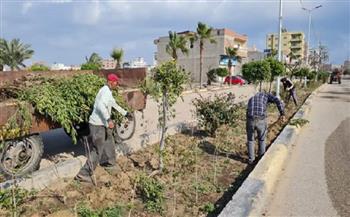 محافظ كفر الشيخ يتابع زراعة الأشجار بمصيف بلطيم.. ضمن المبادرة الرئاسية «100 مليون شجرة»