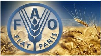 "الفاو": تصاعد الصراع في الشرق الأوسط يهدد أنظمة الطاقة