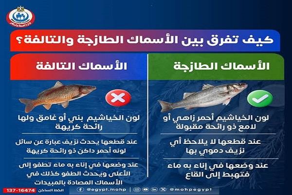 كيف تفرق بين الأسماك الطازجة والتالفة؟.. «الصحة» توضح