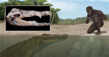 اكتشاف أخطر تهديد لأسلاف البشر عاش قبل 3 ملايين عام