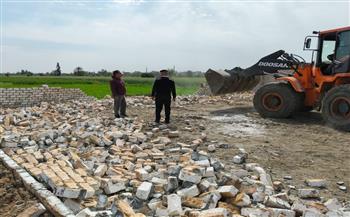 إزالة التعديات على الأراضي الزراعية وأملاك الدولة والبناء المخالف بدون ترخيص بمحافظة الشرقية 