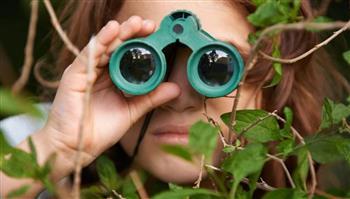 مراقبة الطيور تقوي الدماغ وتحمي من التدهور المرتبط بالعمر