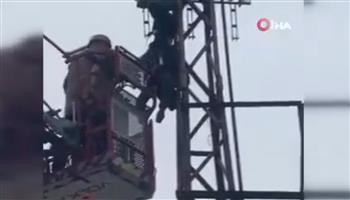 لص منحوس.. حاول سرقة عمود كهرباء فانتهت حياته بصاعقة (فيديو)