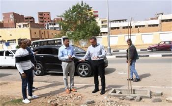 محافظ أسوان يوجه بتوزيع بعض أعمال السمبوزيوم ضمن منظومة التطوير والتجميل