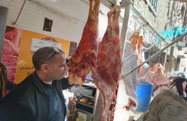 ضبط 9 أطنان من الأسماك المملحة المدخنة وأغذية فاسدة في الجيزة قبل عيد الفطر