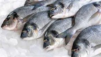 كيف تفرق بين الأسماك الطازجة والتالفة؟.. «الصحة» توضح