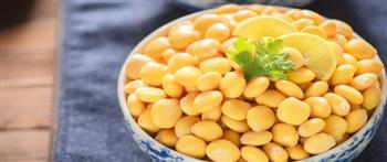 يحتوى على فوائد متعددة .. الترمس تسلية العيد