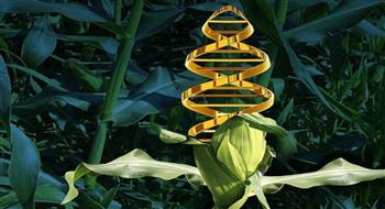 اكتشاف يغير قواعد اللعبة.. نباتات تُسمد نفسها بنفسها