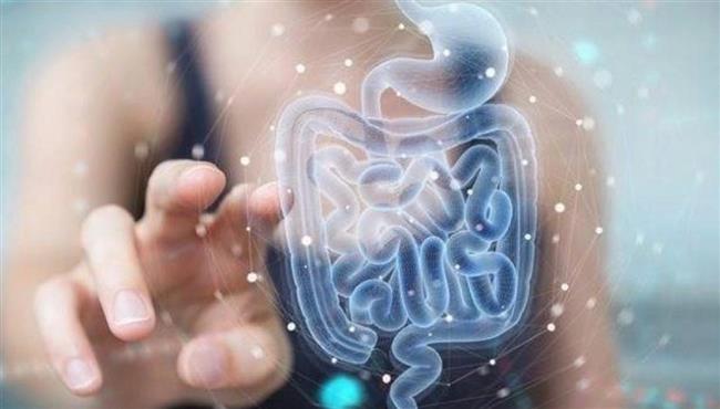 دراسة تكشف مفاجأة.. البكتيريا المعوية تسبب فقدان الذاكرة
