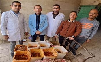 ضبط 860 كيلو لحوم وأسماك مملحة غير الصالحة في حملات مكبرة للطب البيطري بسوهاج 