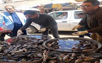 تزامنًا مع عيد الفطر.. ضبط 860 كيلو جرام من اللحوم والأسماك المملحة غير الصالحة بسوهاج