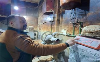 تحرير 24 محضرًا .. الغربية تكثف الرقابة على مخابز الرجبي وأبو شاهين ومحب وأبو راضي بحي أول المحلة