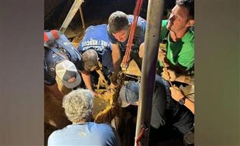 إنقاذ شاب أمريكي علق في الوحل لمدة 10 أيام بلا طعام أو ماء