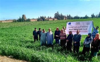 مديرية الزراعة بالشرقية تواصل تكثيف أنشطتها خلال أسبوع حافل بالإنجازات