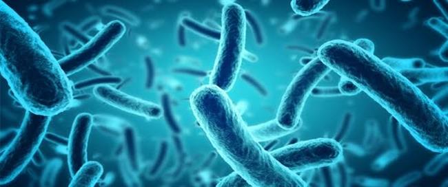 تأثير البكتيريا النافعة على حالتك النفسية