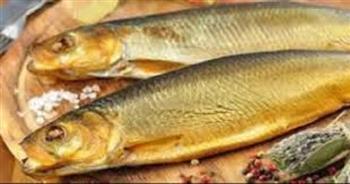 الصحة توضح.. فئات ممنوعة من تناول الأسماك المملحة مثل الفسيخ والرنجة