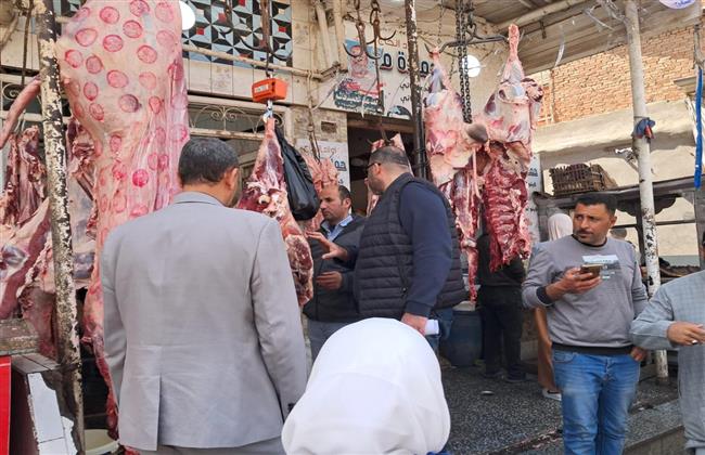 "الزراعة": ضبط 38 طن لحوم وأسماك غير مطابقة خلال أسبوع