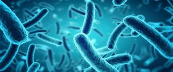 تأثير البكتيريا النافعة على حالتك النفسية