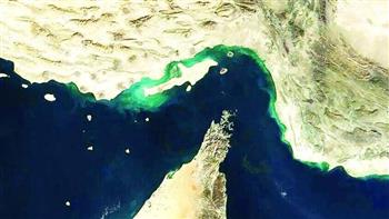 22 دولة تؤكد مشاركتها في الجهود الرامية لضمان مرور آمن للسفن في مضيق هرمز
