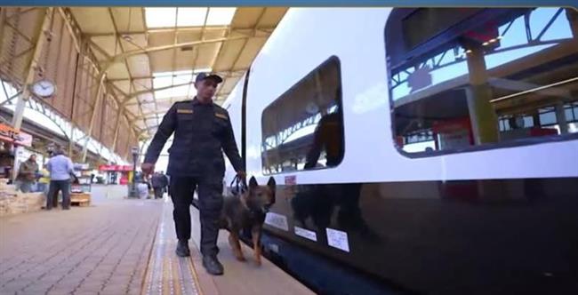  بالكلاب البوليسية.. الأمن يلاحق مروجي المخدرات بمحيط الأندية والأكشاك على مدار الساعة 