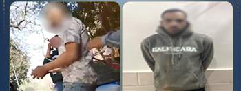 الأمن يضبط مؤجر خيول متهم بالنصب على رواد الجيزة