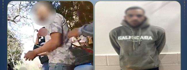 الأمن يضبط مؤجر خيول متهم بالنصب على رواد الجيزة