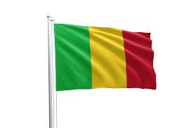 مالي تدشن أداة جديدة لتحسين الرقابة على تدفقات الذهب الناتجة عن تعدين الذهب الحرفي والصغير