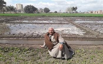 بعد ارتفاع سعر الطماطم لـ 50 جنيهًا.. نقيب الفلاحين: تراجع الأسعار بعد 20 يومًا