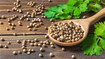 5 فوائد للكزبرة ..تعرف عليها