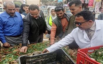 تحرير 354 مخالفة تموينية وضبط سلع فاسدة خلال حملات مكثفة بسوهاج