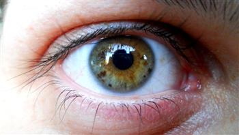 أعراض التهاب الشبكية الصباغي