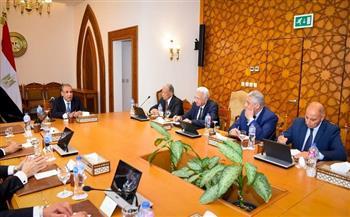 وزير الخارجية يبحث مع مجموعة من السفراء المتقاعدين محددات الموقف المصري من التطورات الإقليمية