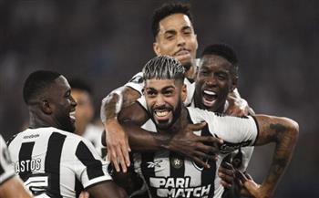 بوتافوجو البرازيلي يرفع دعوى قضائية ضد أولمبيك ليون بعد صفقات انتقال فاشلة 