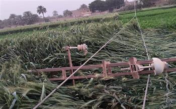 فرق الطوارئ بسوهاج تنجح في التعامل مع سقوط أعمدة كهرباء وأشجار ولوحات إعلانية