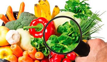 عالم قضى 6 عقود في محاولة تحسين سلامة الغذاء يحصد جائزة عالمية